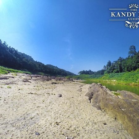 Kandy Blue المظهر الخارجي الصورة