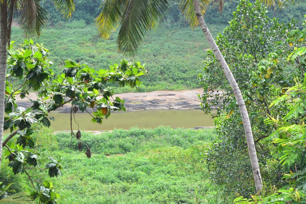 Kandy Blue المظهر الخارجي الصورة