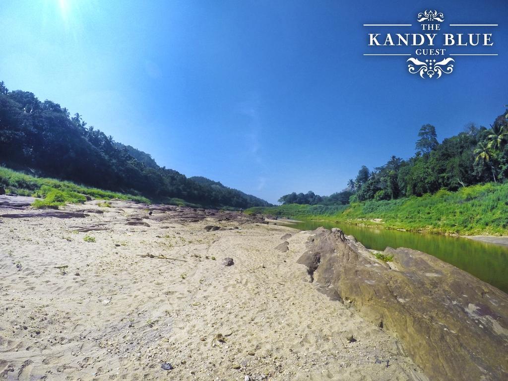 Kandy Blue المظهر الخارجي الصورة